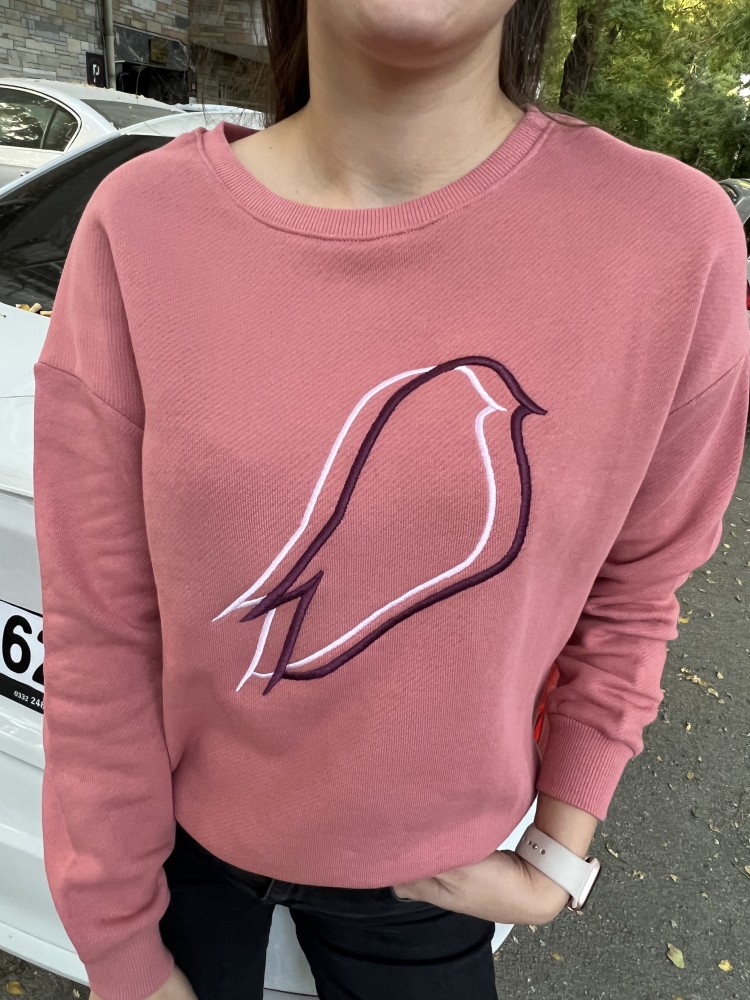 Pervin Çelik Kadın Somon Önü Nakışlı Sweatshirt